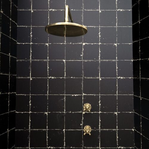 Luxury Shower Swivel